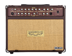 CARLSBRO SHERWOOD 60R Комбо-усилитель для акустической гитары