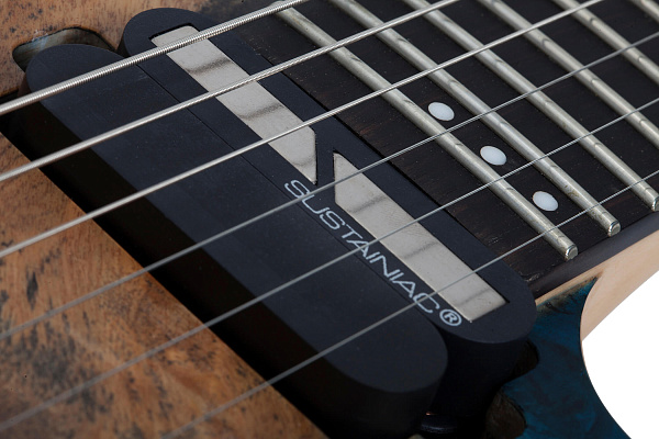 Электрогитара SCHECTER [REAPER-6 FR S SKYB] электрогитара 6-струнная, 24 лада, корпус: болотный ясень, топ: кап, гриф: клен, накладка: черное дерево, Sustaniac, FloydRose, цвет: Charcoal Burst (CB)