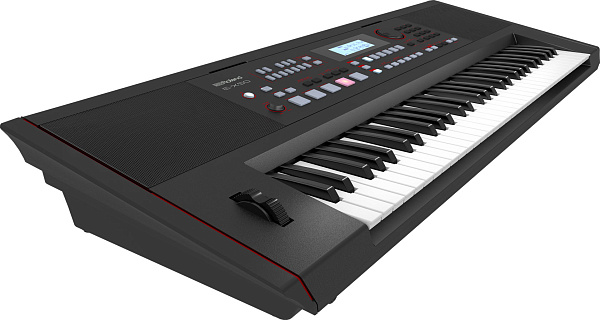 Синтезатор ROLAND [E-X50] с автоаккомпанементом, 61 клавишей (чувствительной к нажатию), 256-голосной полифонией. 689 тембров, 300 стилей аранжировки, Bluetooth 5.0, микрофонный вход, USB. Вес: 9,6 кг.