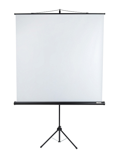 [LEV-100103] Экран на штативе Lumien [Eco View] 200x200 см (111") Matte White 1:1