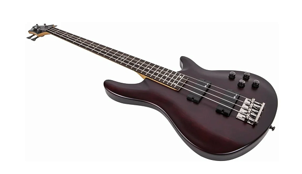 Schecter SGR C-4 BASS MSBK - Гитара бас, 4 струны, чехол в комплекте