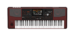 KORG PA1000 - Профессиональная аранжировочная станция, 61 клавиша
