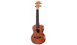 ENYA EUS-20 - Укулеле,сопрано