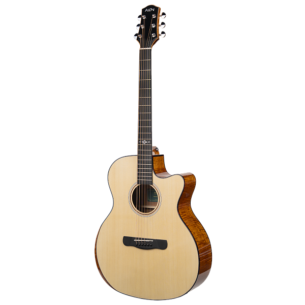 Aion Q10 - Акустическая гитара
