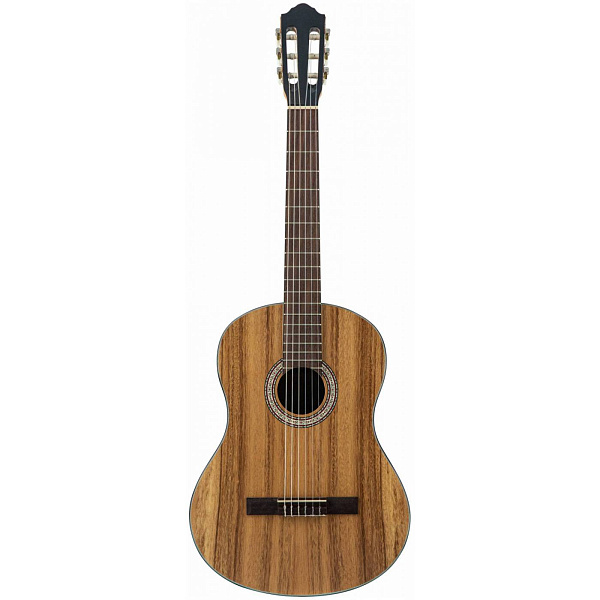 FLIGHT C-110 AC 4/4 dPACK 1 - Гитара классическая 4/4 (набор)