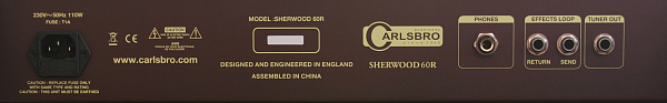 CARLSBRO SHERWOOD 60R Комбо-усилитель для акустической гитары
