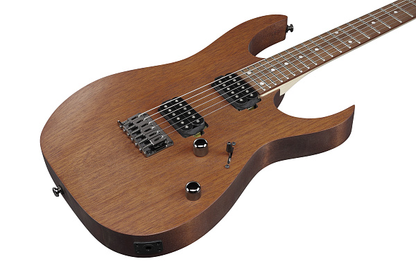 IBANEZ RG421-MOL - Электрогитара