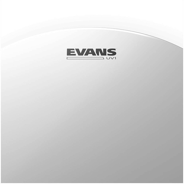 EVANS B14UV1 - Пластик 14"