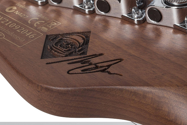 Электрогитара SCHECTER [NICK JOHNSTON PT A.INK] электрогитара 6-струннаякорпус: ольха, гриф: запеченый клен, накладка: черное дерево, 22 лада, цвет: Atomic Inc