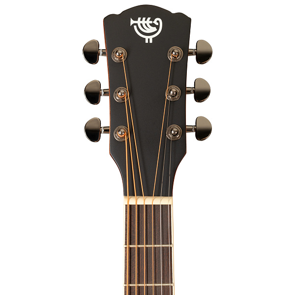 ROCKDALE Aurora D6 Satin C BK - Акустическая гитара