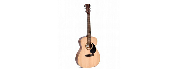 DITSON G-10 - Акустическая гитара