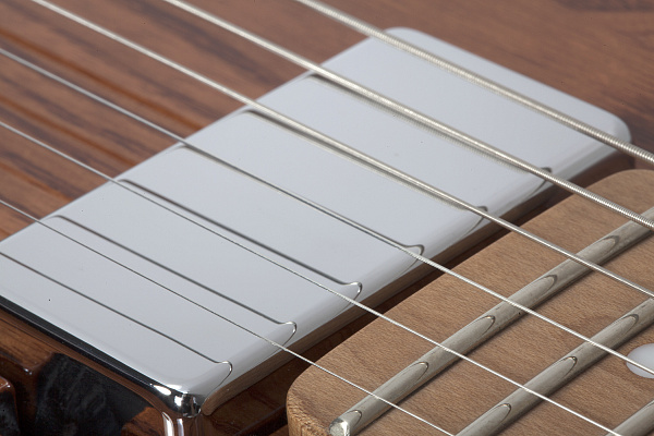 Электрогитара SCHECTER [PT VAN NUYS G.NAT ASH] электрогитара 6-струнная, корпус: ясень, гриф: запеченый клен, 22 лада, цвет: Gloss Natural Ash (GNAT ASH)