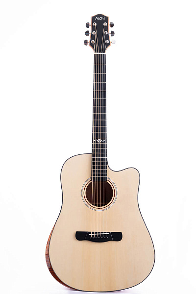 Aion Q20 - Акустическая гитара