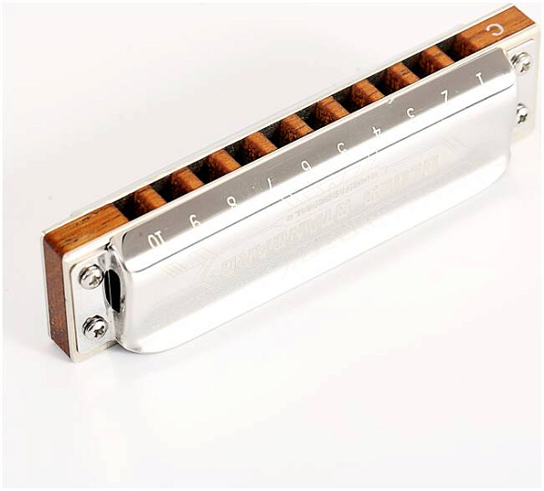 EASTTOP PRO10 Eb - Губная гармоника диатоническая