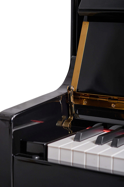 Мелодива ГРАНД 05-черный - Цифровое пианино