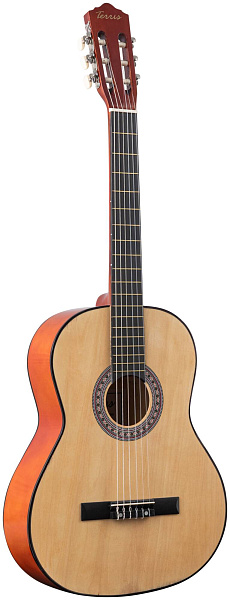TERRIS TC-395A NA - Гитара классическая 4/4
