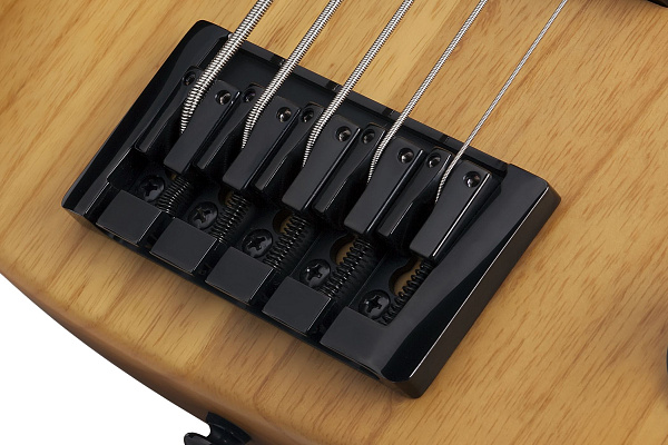 Бас-гитара SCHECTER [MODEL-T SESSION-5 ANS] бас-гитара 5-струнная, корпус: болотный ясень, гриф: клён, 22 лада, цвет: Aged Natural Satin (ANS)