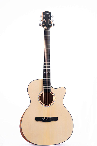 Aion Q10 - Акустическая гитара