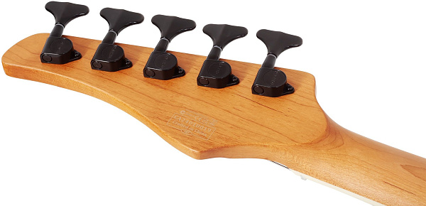 Бас-гитара SCHECTER [C-5 STANDARD CS] бас-гитара 5-струнная, корпус: красное дерево, топ из капа, гриф: печеный клен, накладка: палисандр, 24 лада, цвет Charcoal Satin (CS)