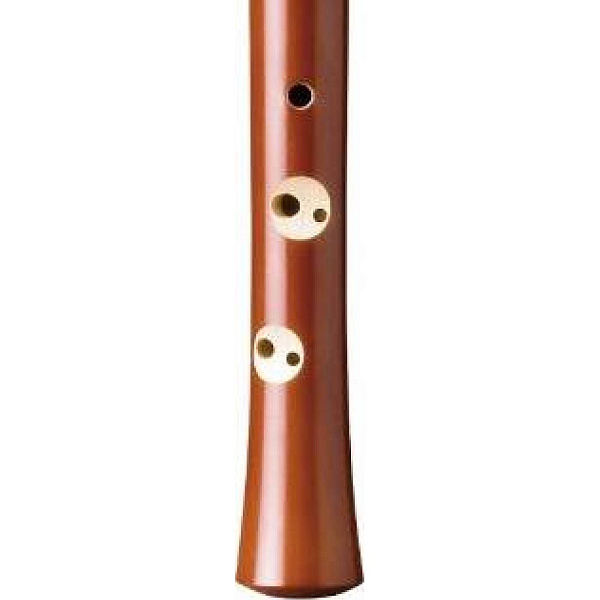 HOHNER B9556 - Блокфлейта сопрано немецкая система