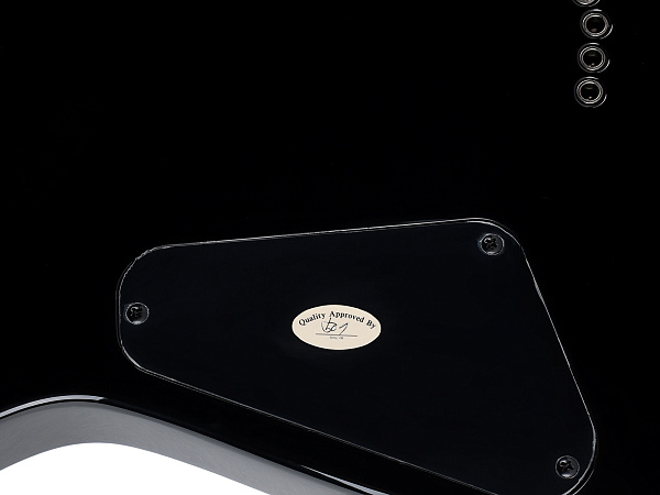 Электрогитара SCHECTER [C-1 SGR BY SCHECTER BLK] электрогитара 6-струнная, с чехлом, корпус: липа, гриф: клен, накладка: палисандр, 24 лада, цвет Black (BLK)