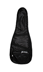 MUSTANG ЧГЭ3 - Чехол для электрогитары утепленный