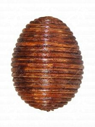 Terre 38440253 музыкальный ударный инструмент шейк