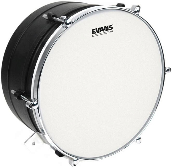 EVANS B13G1 - Пластик 13"