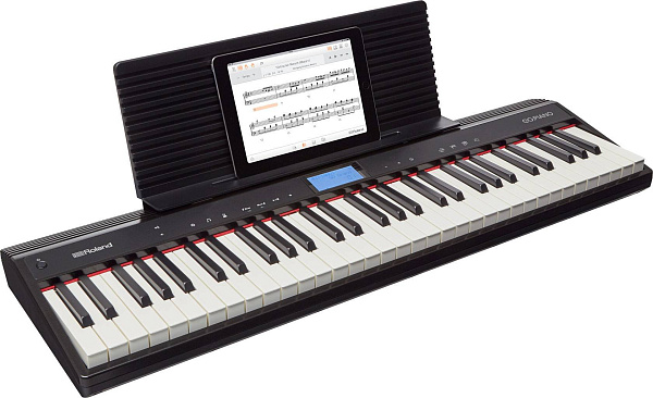 Портативное цифровое пианино ROLAND [GO:PIANO] (61 клавиша) чувствительность к скорости касания, 40 тембров, Bluetooth, метроном, рекордер, эффекты (хорус, реверберация), работа от батареек, вес 3,9 кг.