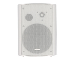 VOLTA VISTA-20TW - Настенный 2-х полосный громкоговоритель