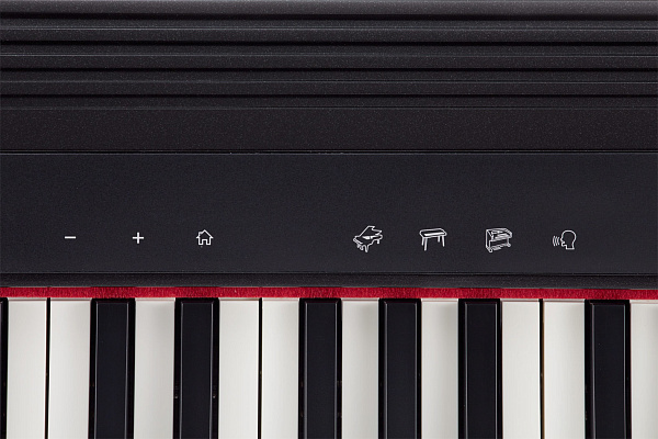 Roland GO-61P - Компактное электропианино