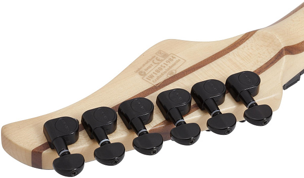 Электрогитара SCHECTER [REAPER-6 FR S SKYB] электрогитара 6-струнная, 24 лада, корпус: болотный ясень, топ: кап, гриф: клен, накладка: черное дерево, Sustaniac, FloydRose, цвет: Charcoal Burst (CB)