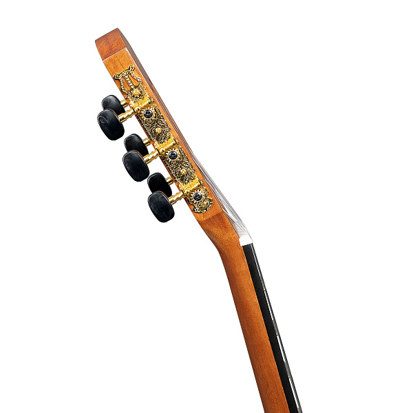 Cascha CGC200 SS - Классическая гитара 4/4, с чехлом