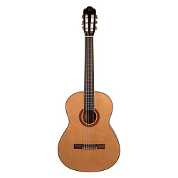 Omni CG-410 - Классическая гитара