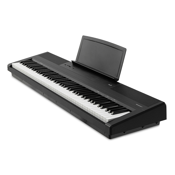 Emotive Hammerpiano 1 BK, цифровое фортепиано, цвет черный