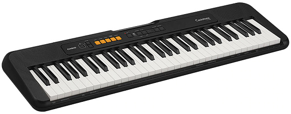 CASIO CT-S100 - Синтезатор, 61 клавиша, без адаптера