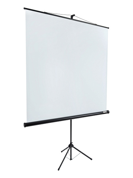 [LEV-100105] Экран на штативе Lumien [Eco View] 160x160 см (89") Matte White 1:1