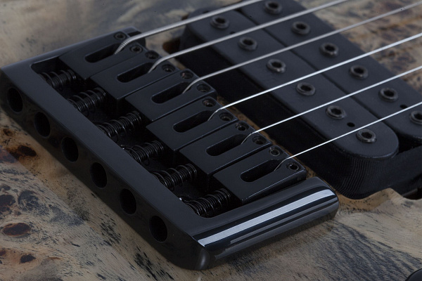 Электрогитара SCHECTER [C-6 PRO CB] электрогитара 6-струнная, корпус: красное дерево, топ: кап, гриф: клен 3 куска, накладка: венге, 24 лада, цвет: Charcoal Burst (CB)