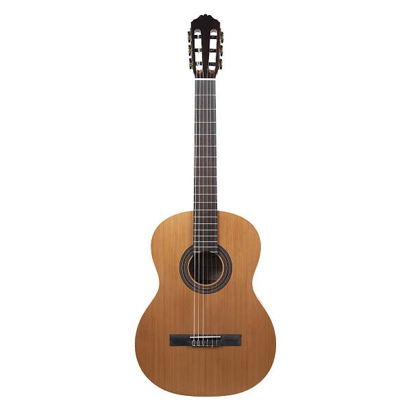 Meridaextrema PC43-NT гитара акустическая с чехлом