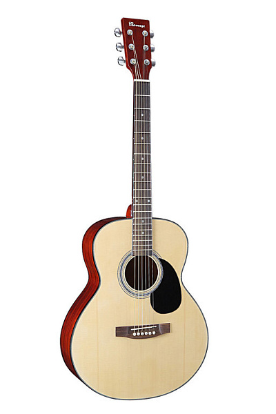 HOMAGE LF-4021 - Акустическая гитара