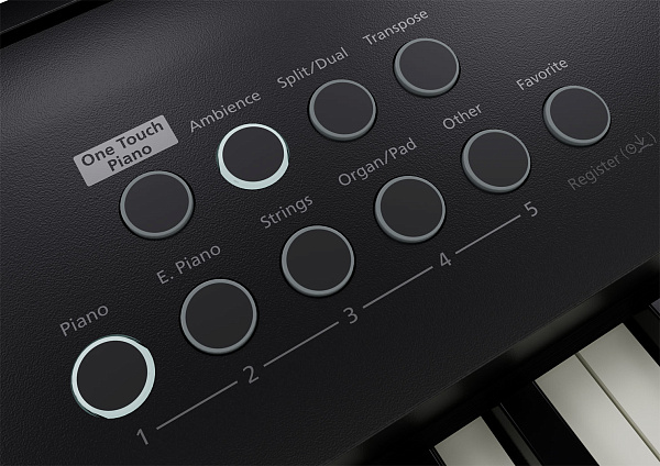 Портативное цифровое пианино ROLAND [FP-E50] с функциями аранжировщика  с 88 клавишами (PHA-4 Standard, Ivory Feel), полифония 256 голосов, 1018 тембров, Bluetooth 4.2, автоаккомпанемент (177 стилей), рекордер (WAV, до 390 мин), динамики 12 см (11 Втх2),