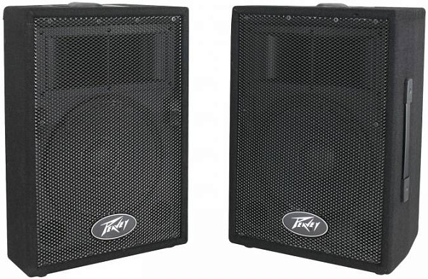 PEAVEY PVi 10 (пара) - Акустическая система