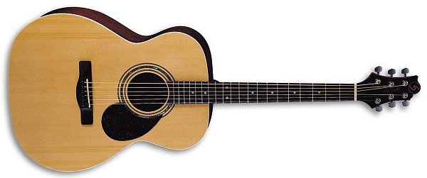 Greg Bennett OM5/N Акустическая гитара.