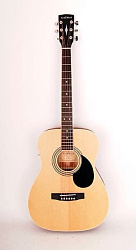 Parkwood PF51E-WBAG-OP - Электро-акустическая гитара, с чехлом