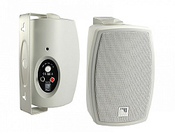 AMC iPlay 4WT  2-полосный, полнодиапазонный громкоговоритель