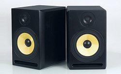 Axelvox TRP-8A Студийный аудио монитор (двухполосный)