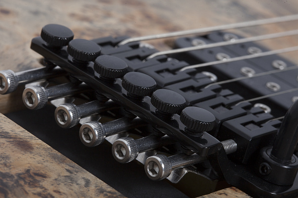 Электрогитара SCHECTER REAPER-6 FR S CB