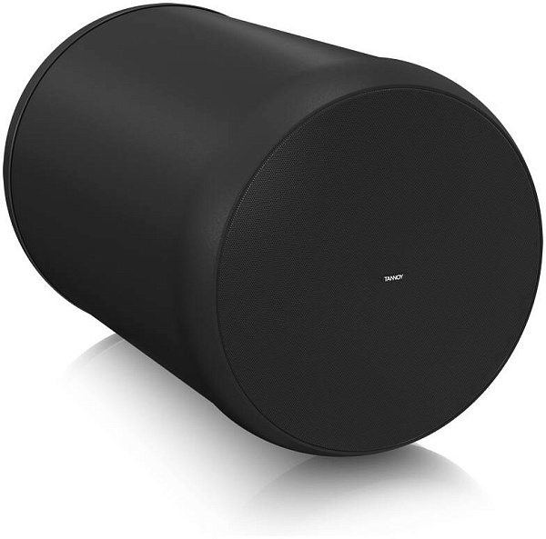TANNOY OCV 8 - Акустическая система
