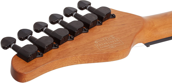 Электрогитара SCHECTER [PT STANDARD PBB] электрогитара 6-струнная, корпус: красное дерево, топ из капа, гриф: печеный клен, накладка: палисандр, 22 лада, цвет Purple Burst Burl (PBB)