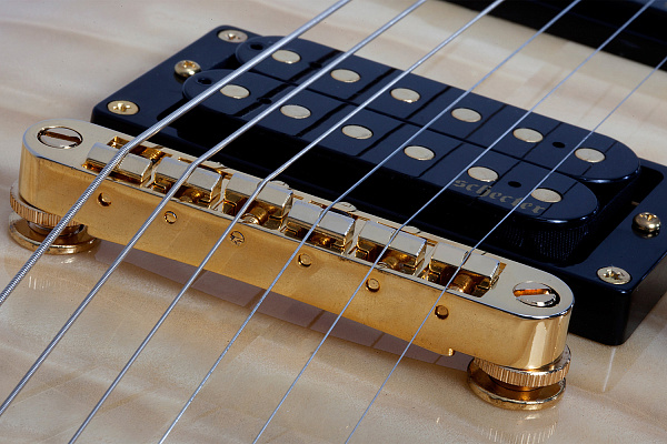 Электрогитара SCHECTER [OMEN EXTREME-6 GNAT] электрогитара 6-струнная, корпус: красное дерево, топ: стеганый клен, гриф: клен, накладка: палисандр, 24 лада, цвет: Gloss Natural (GNAT)